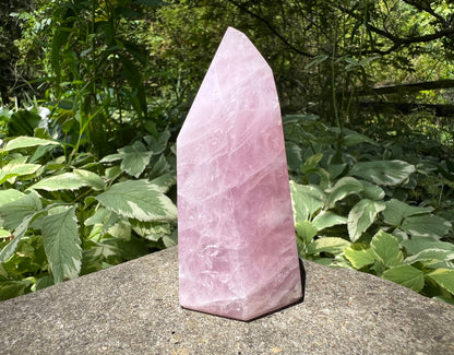 Rose Quartz Tower