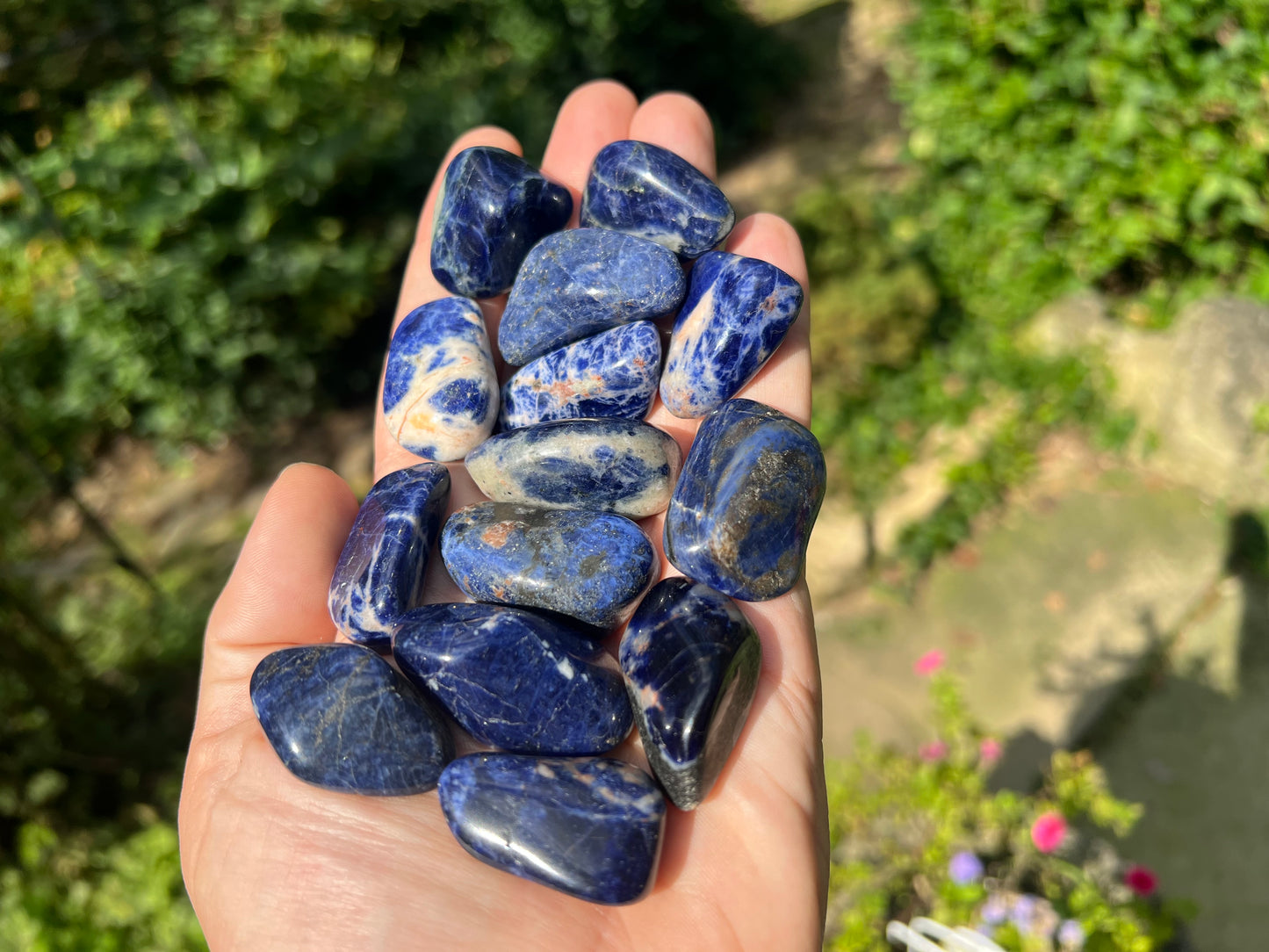 Sodalite Tumbled Stones