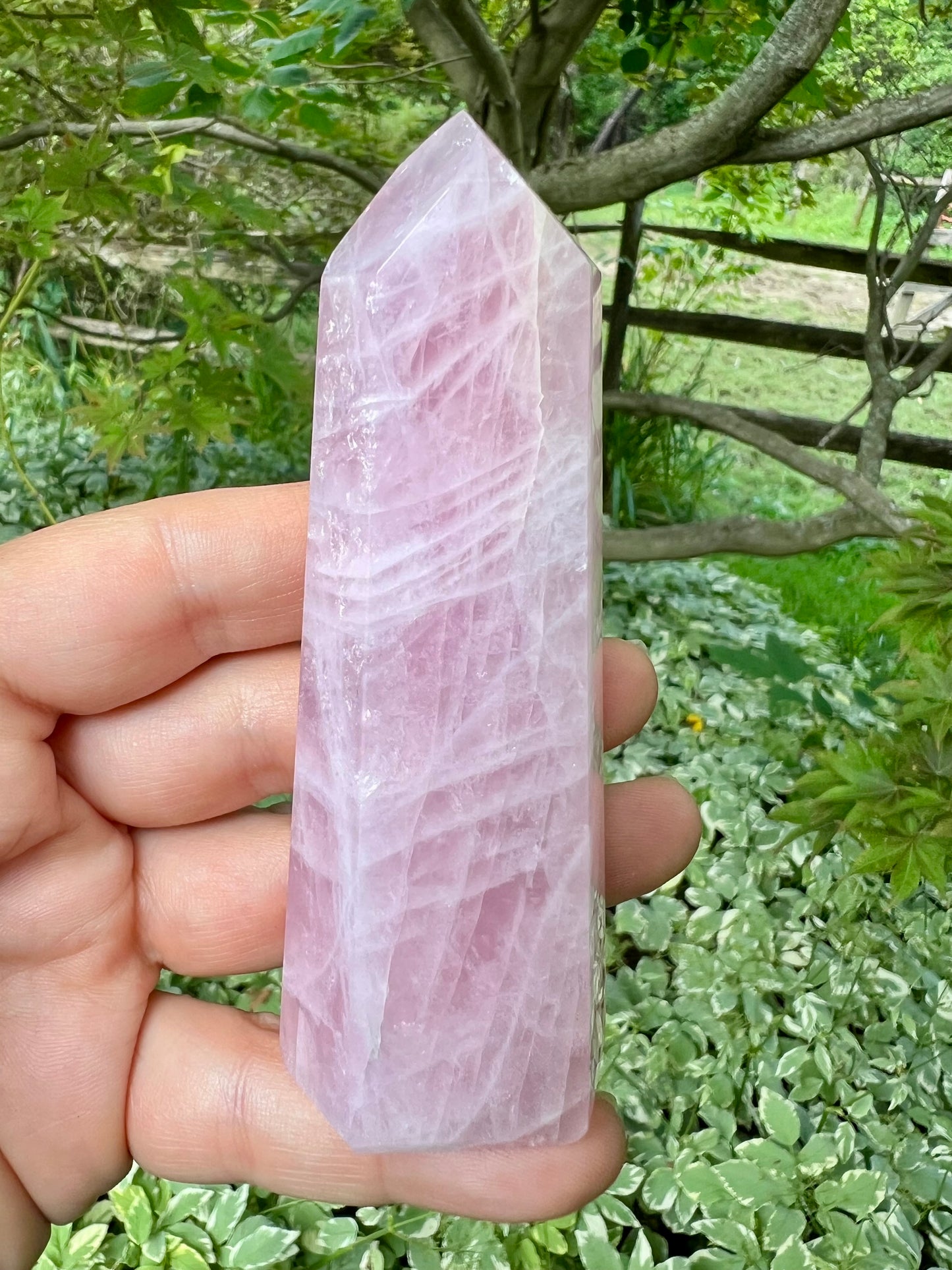 Rose Quartz Tower