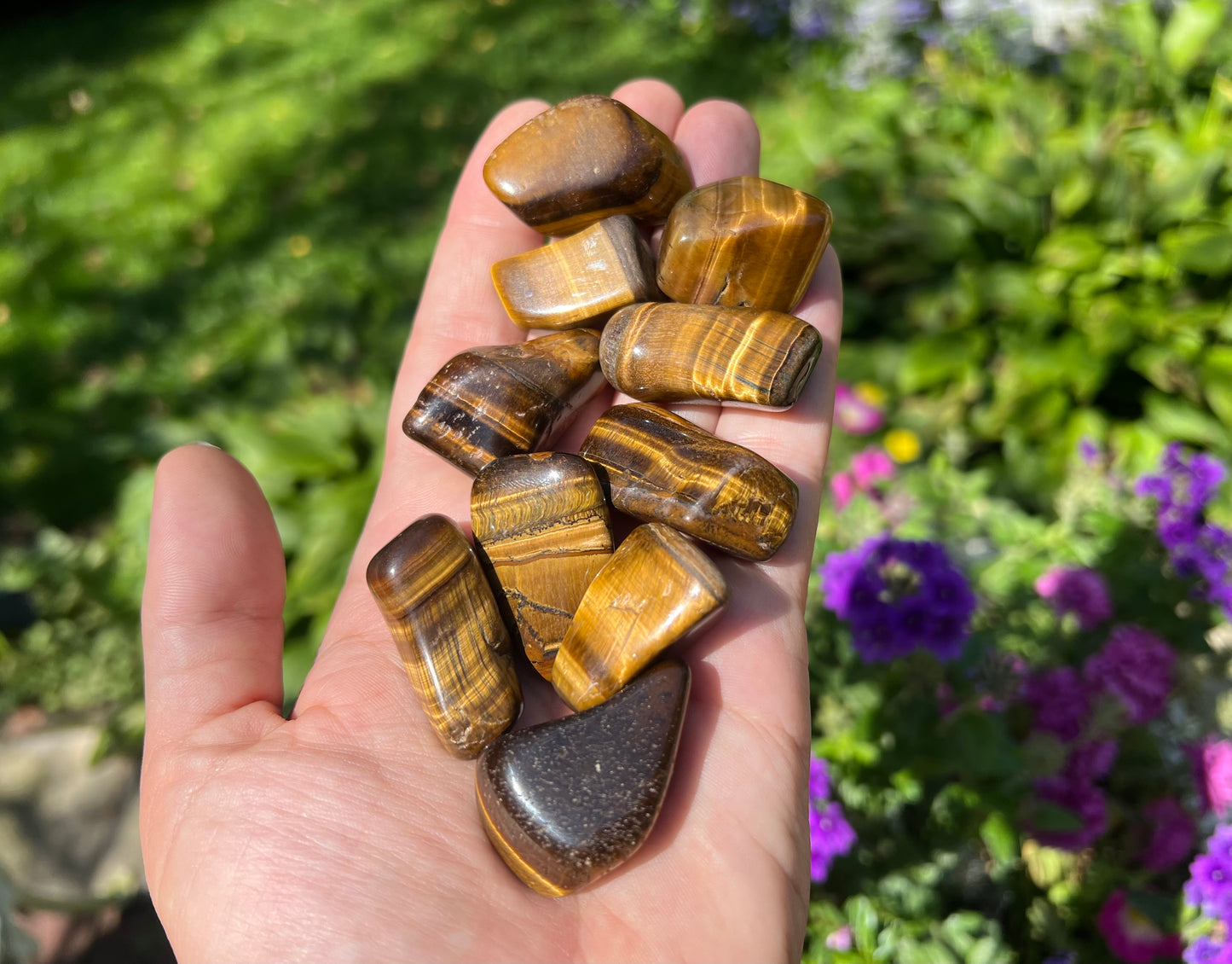 Tiger's Eye Tumbled Stones - Gem Realm 