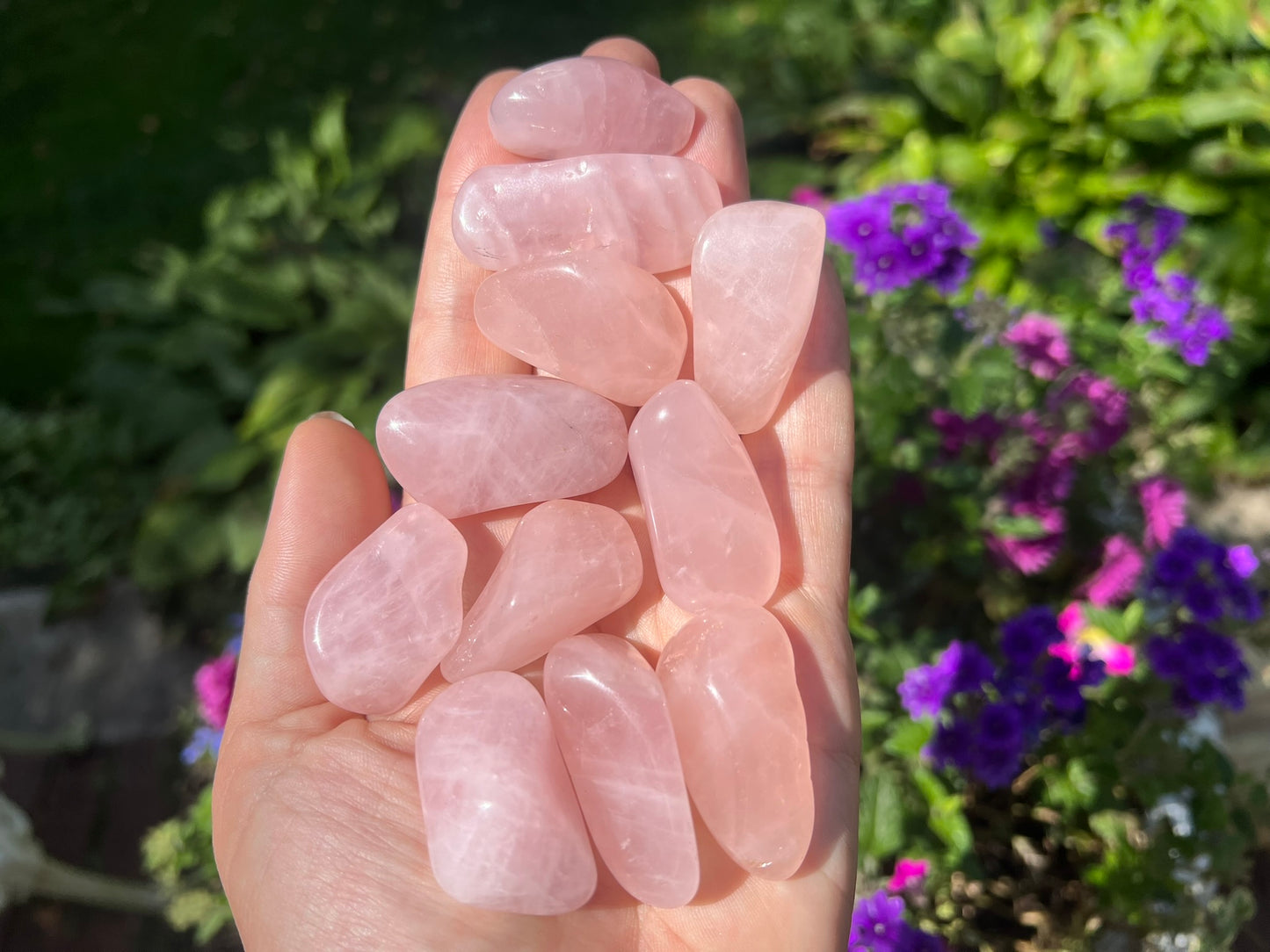 Rose Quartz Tumbled Stones