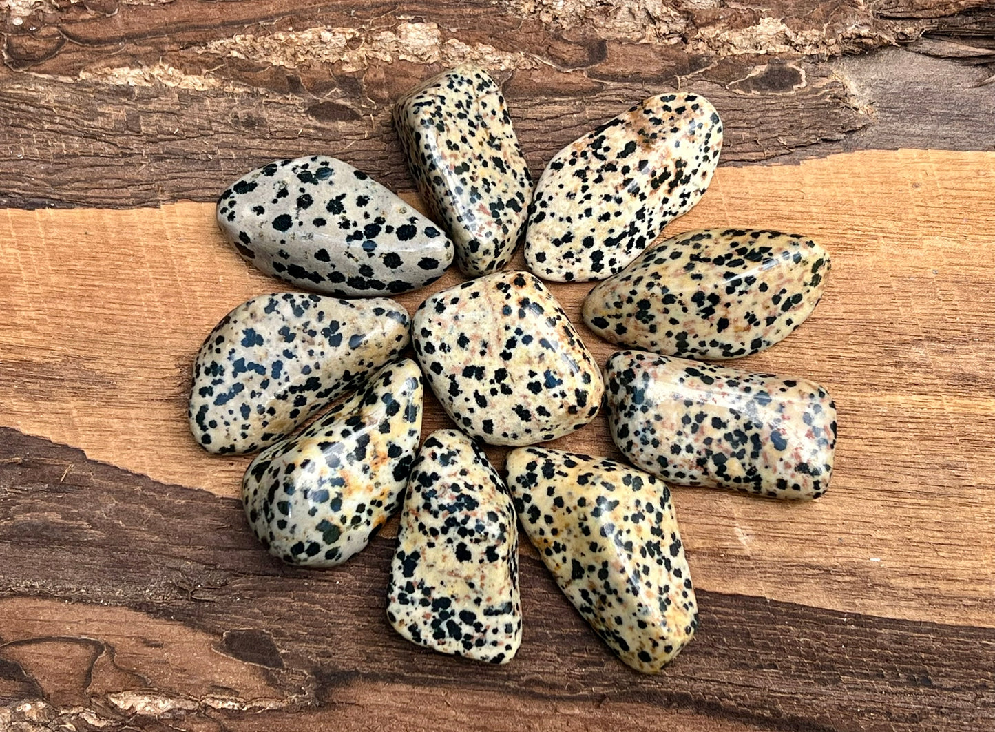 Dalmation Jasper Tumbled Stones