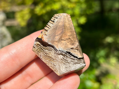 Smoky Garden Quartz Freeform ~ Brazil