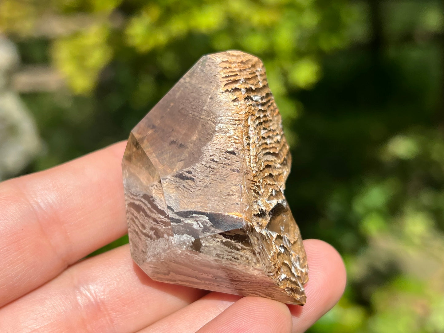 Smoky Garden Quartz Freeform ~ Brazil