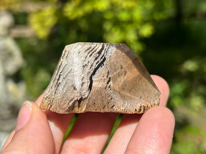 Smoky Garden Quartz Freeform ~ Brazil