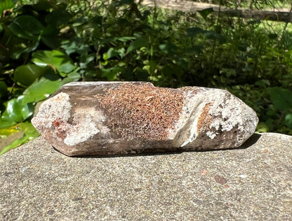 Smoky Garden Double Terminated Quartz Point ~ Brazil