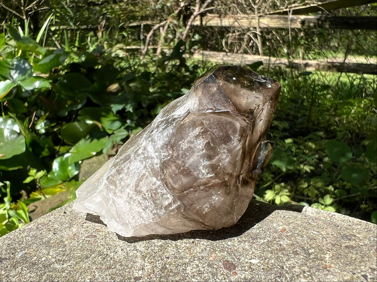 Smoky Elestial Quartz Point