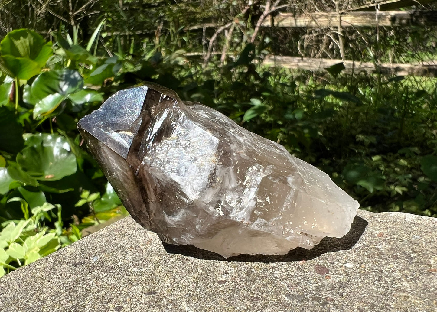 Smoky Elestial Quartz Point