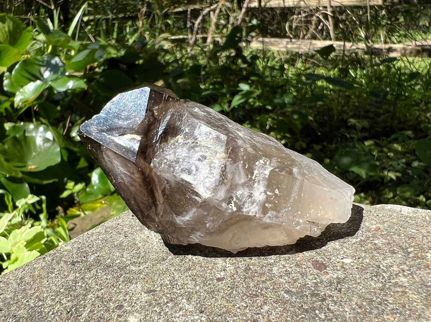 Smoky Elestial Quartz Point