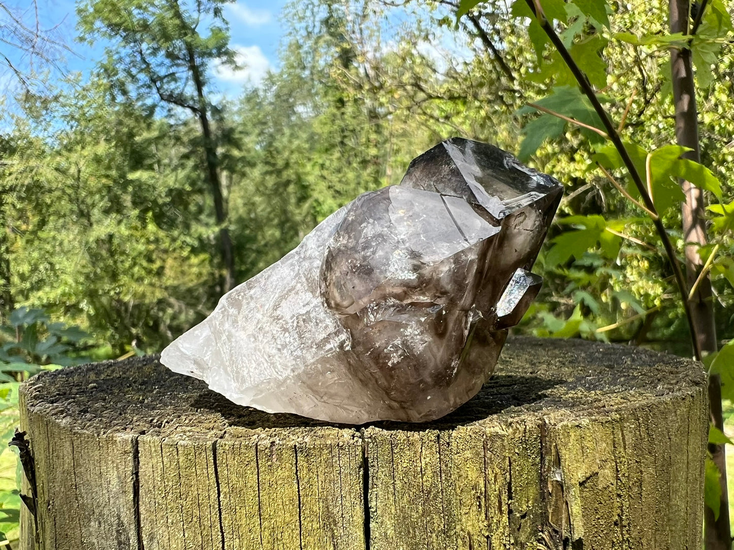 Smoky Elestial Quartz Point