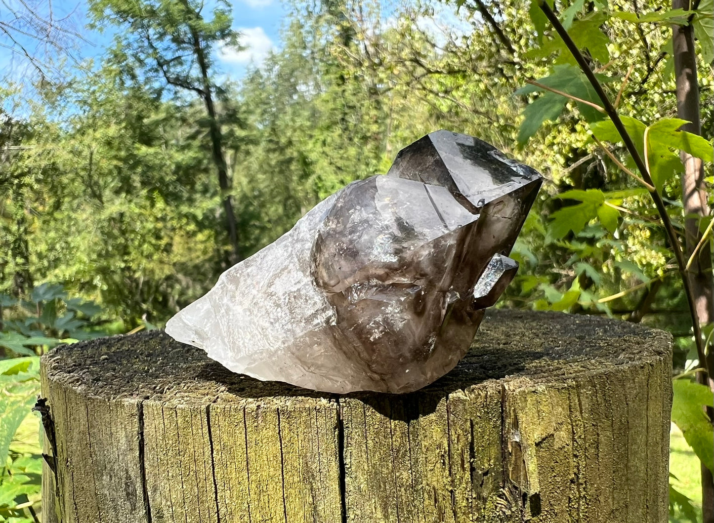 Smoky Elestial Quartz Point
