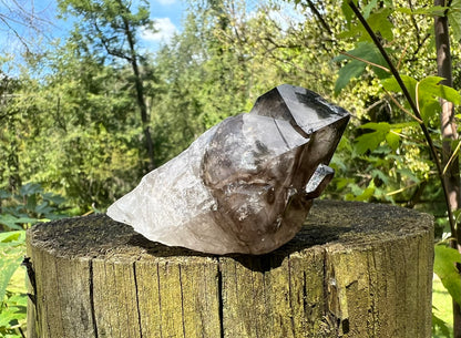 Smoky Elestial Quartz Point