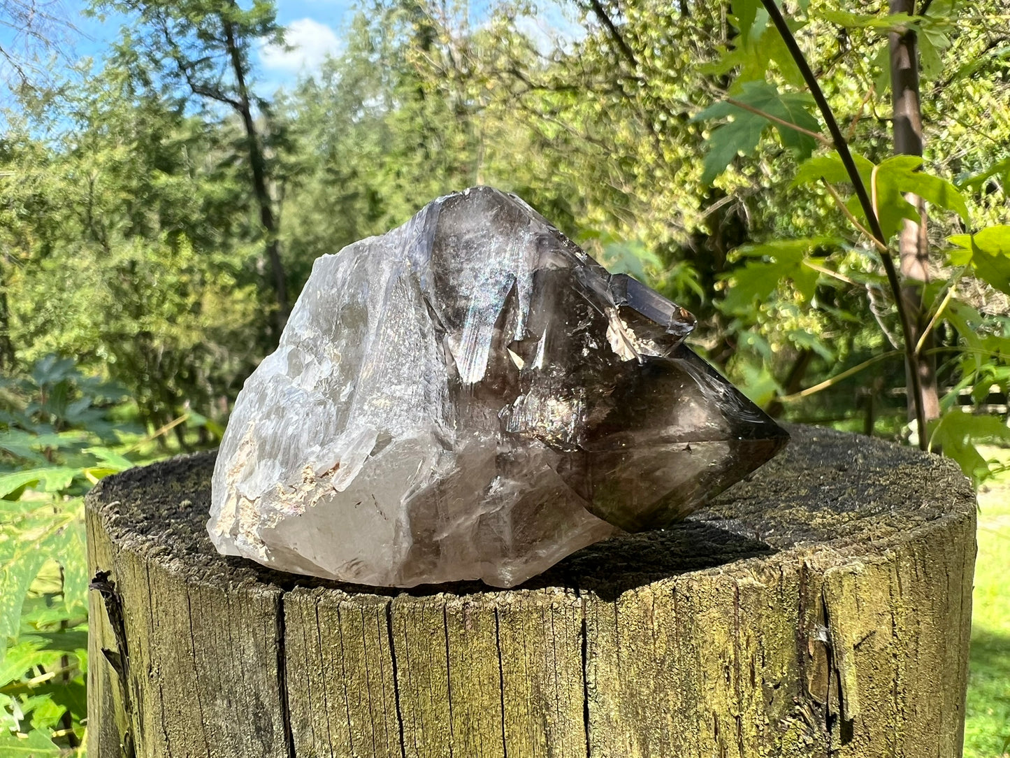 Smoky Elestial Quartz Point