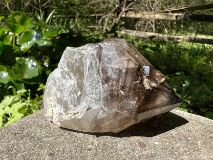 Smoky Elestial Quartz Point