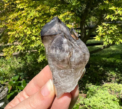 Smoky Elestial Quartz Point
