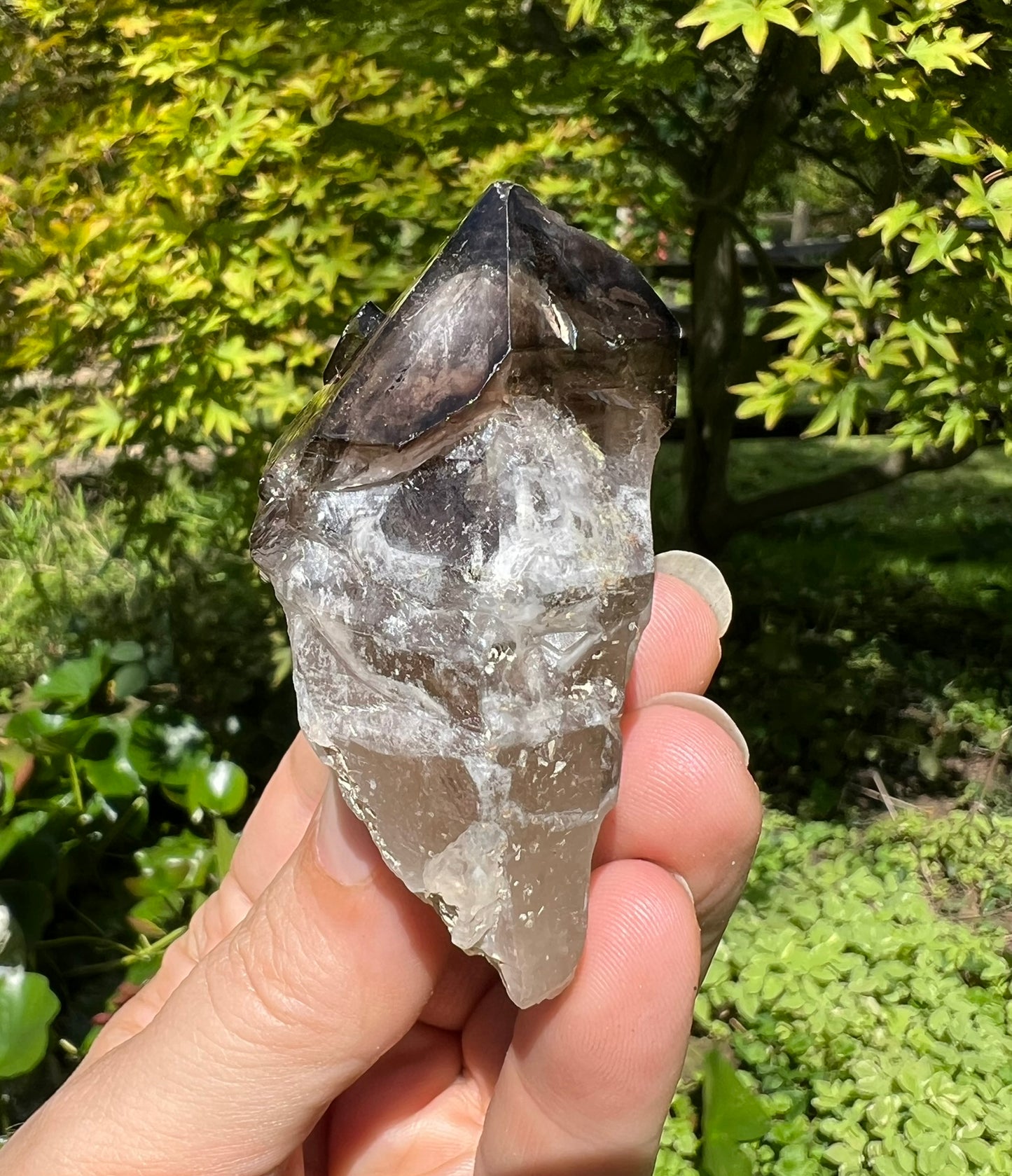 Smoky Elestial Quartz Point
