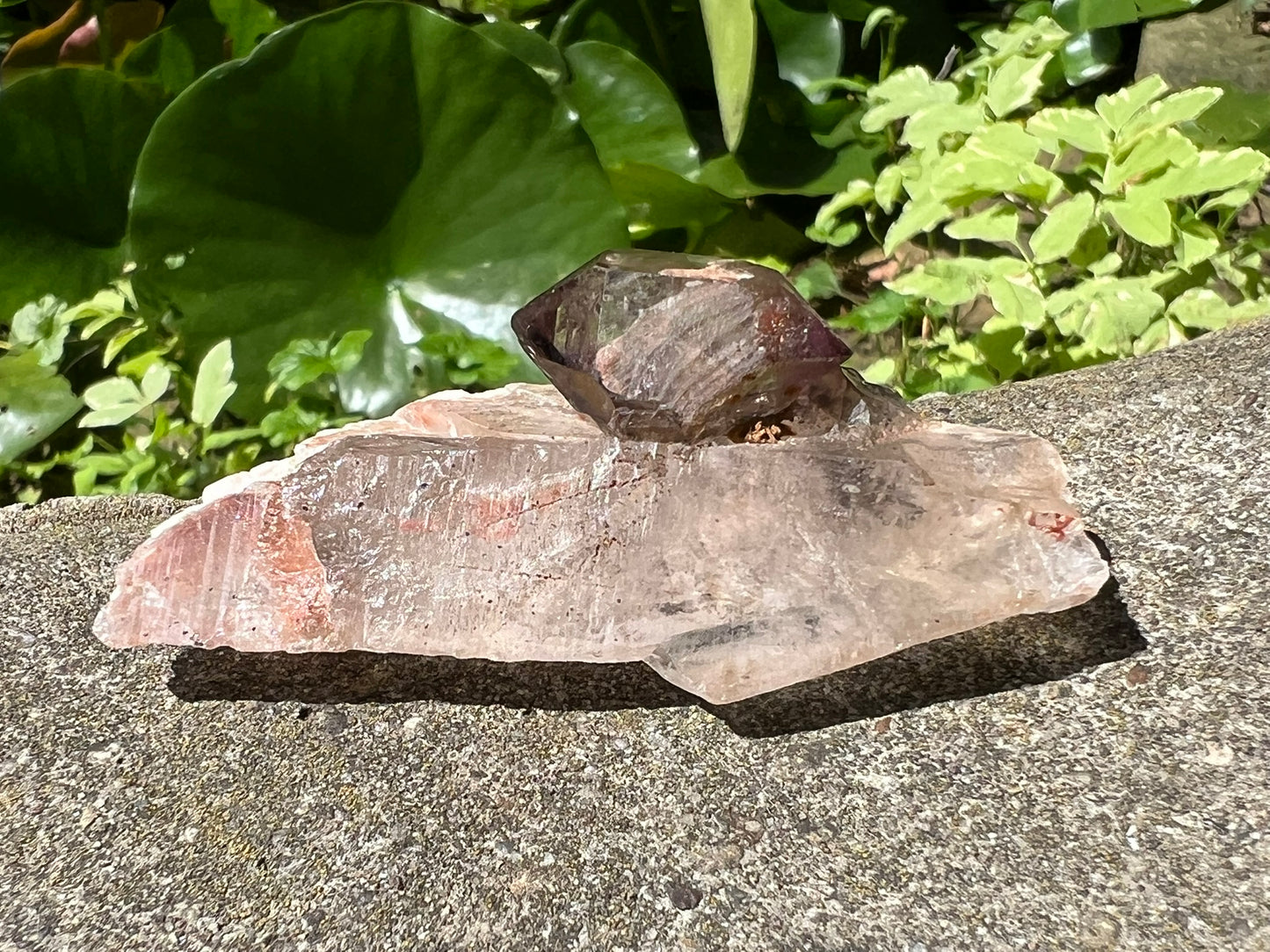 Smoky Elestial Quartz Specimen
