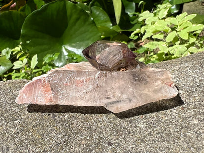 Smoky Elestial Quartz Specimen
