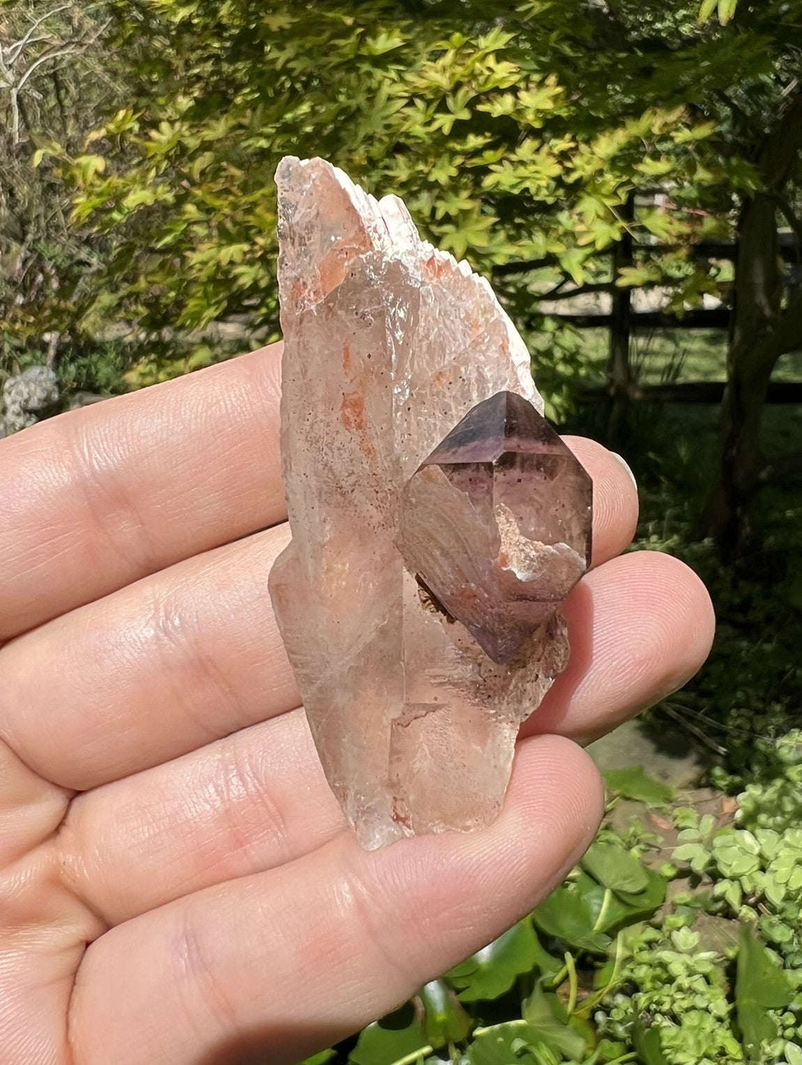 Smoky Elestial Quartz Specimen