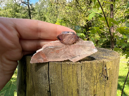 Smoky Elestial Quartz Specimen