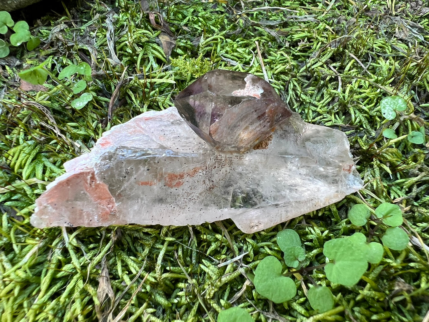 Smoky Elestial Quartz Specimen
