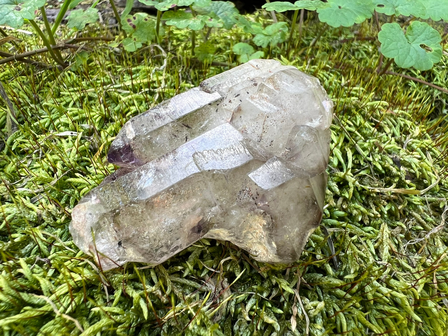 Smoky Elestial Quartz Specimen