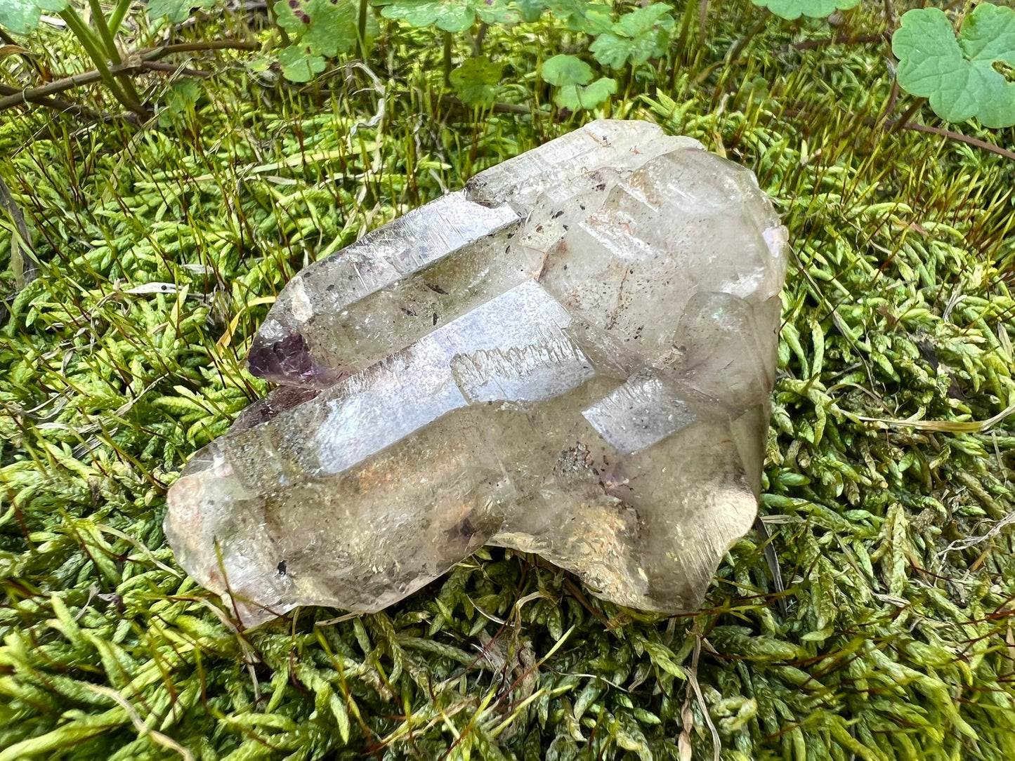 Smoky Elestial Quartz Specimen