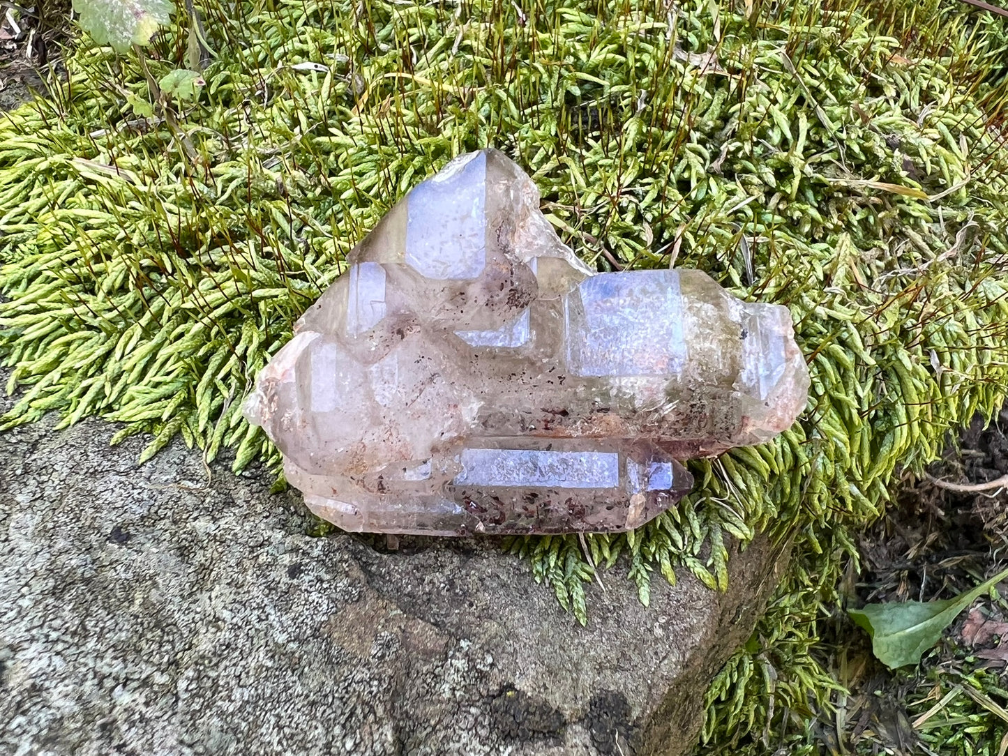 Smoky Elestial Quartz Specimen