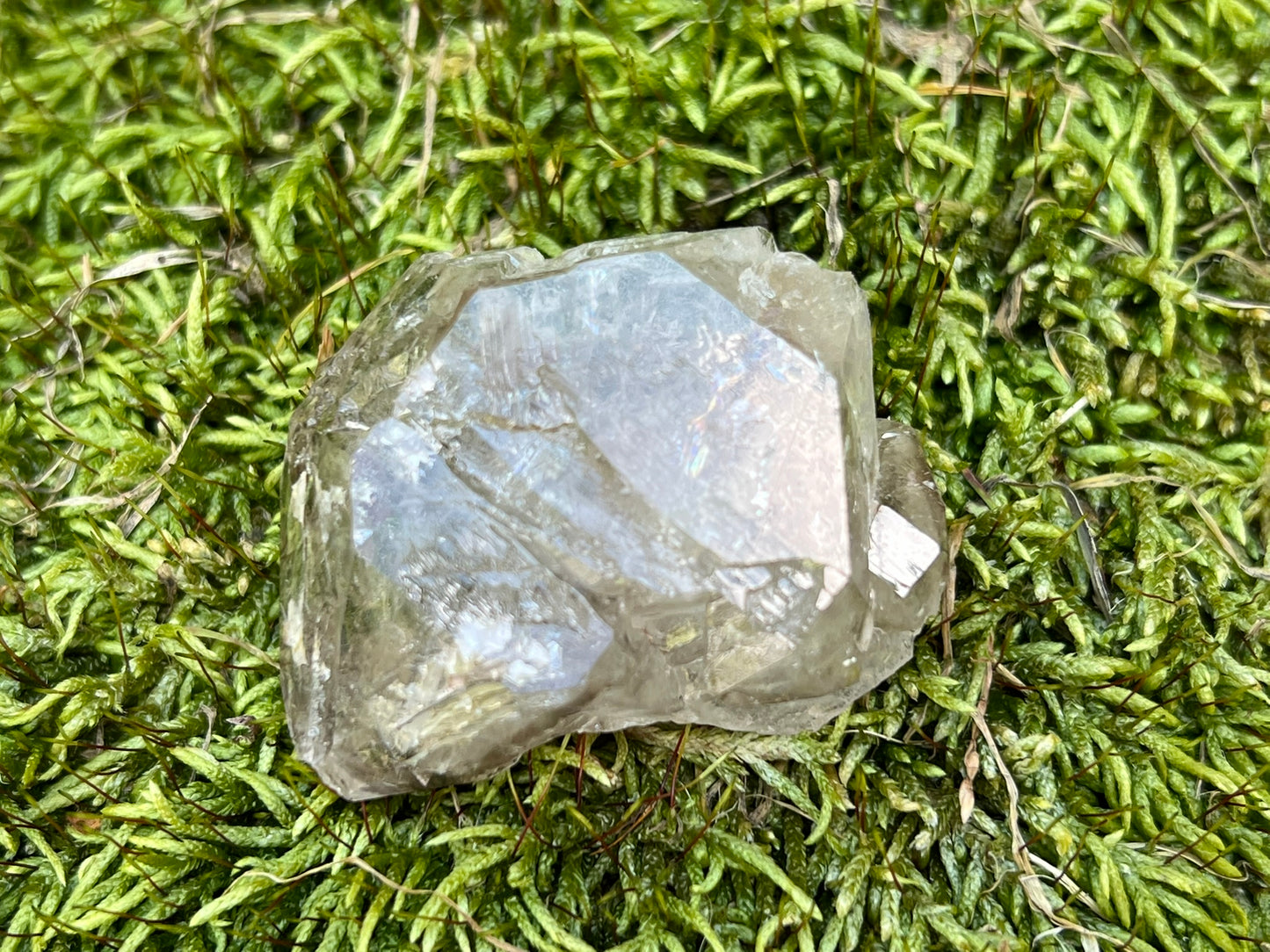 Smoky Elestial Quartz Point