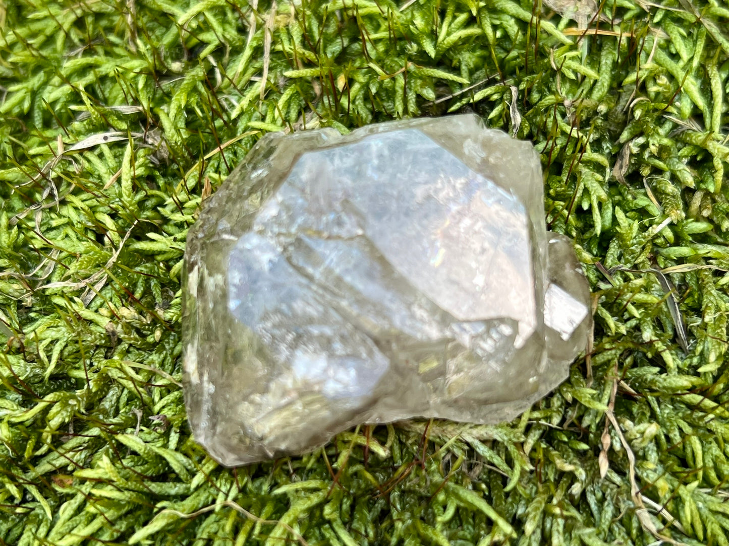 Smoky Elestial Quartz Point