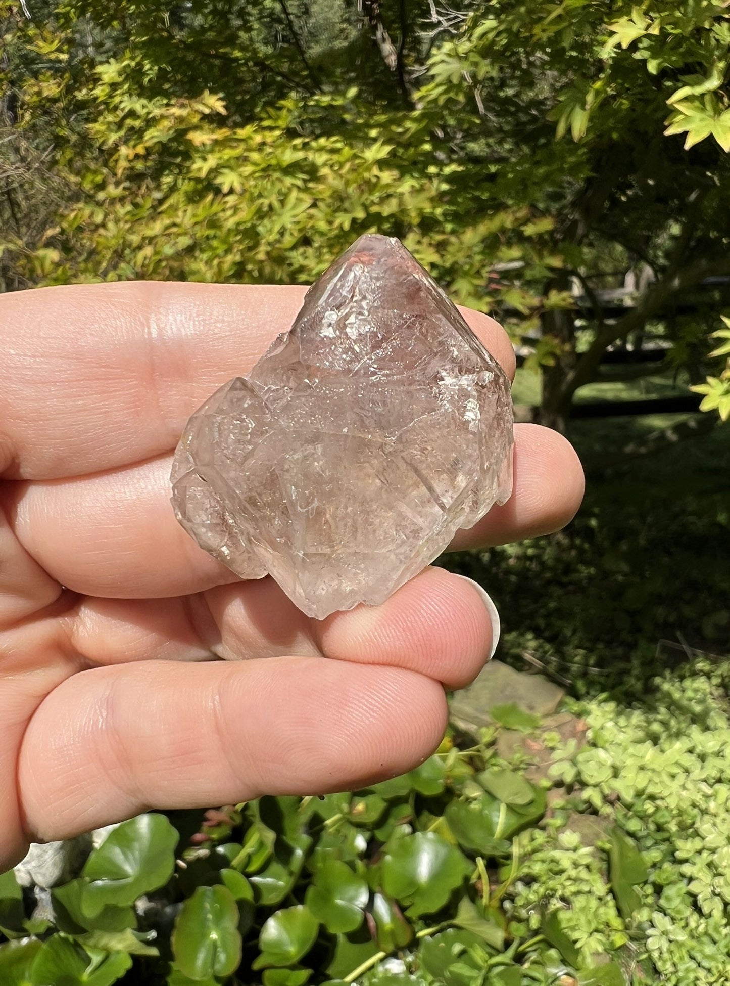 Smoky Elestial Quartz Point
