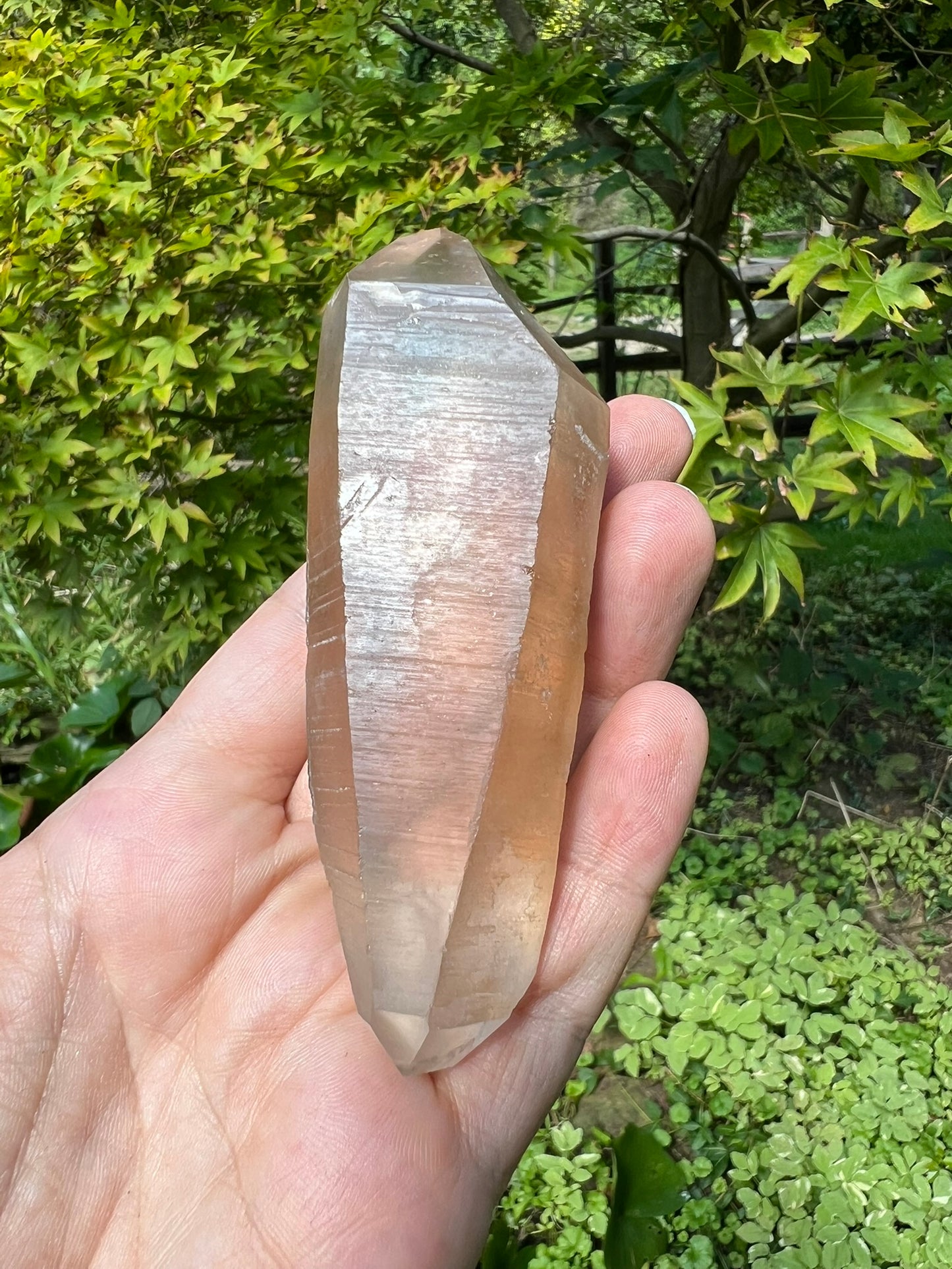 Lemurian Smoky Quartz Double Terminated Quartz Point ~ Brazil