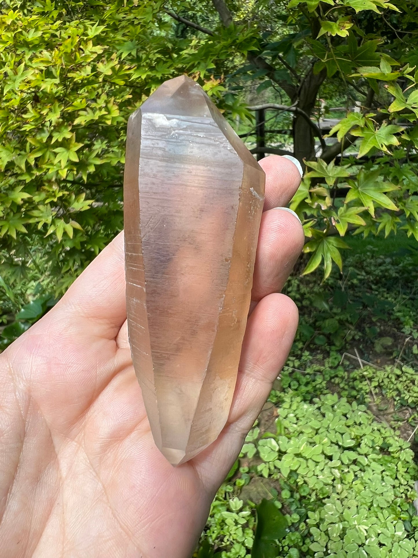 Lemurian Smoky Quartz Double Terminated Quartz Point ~ Brazil
