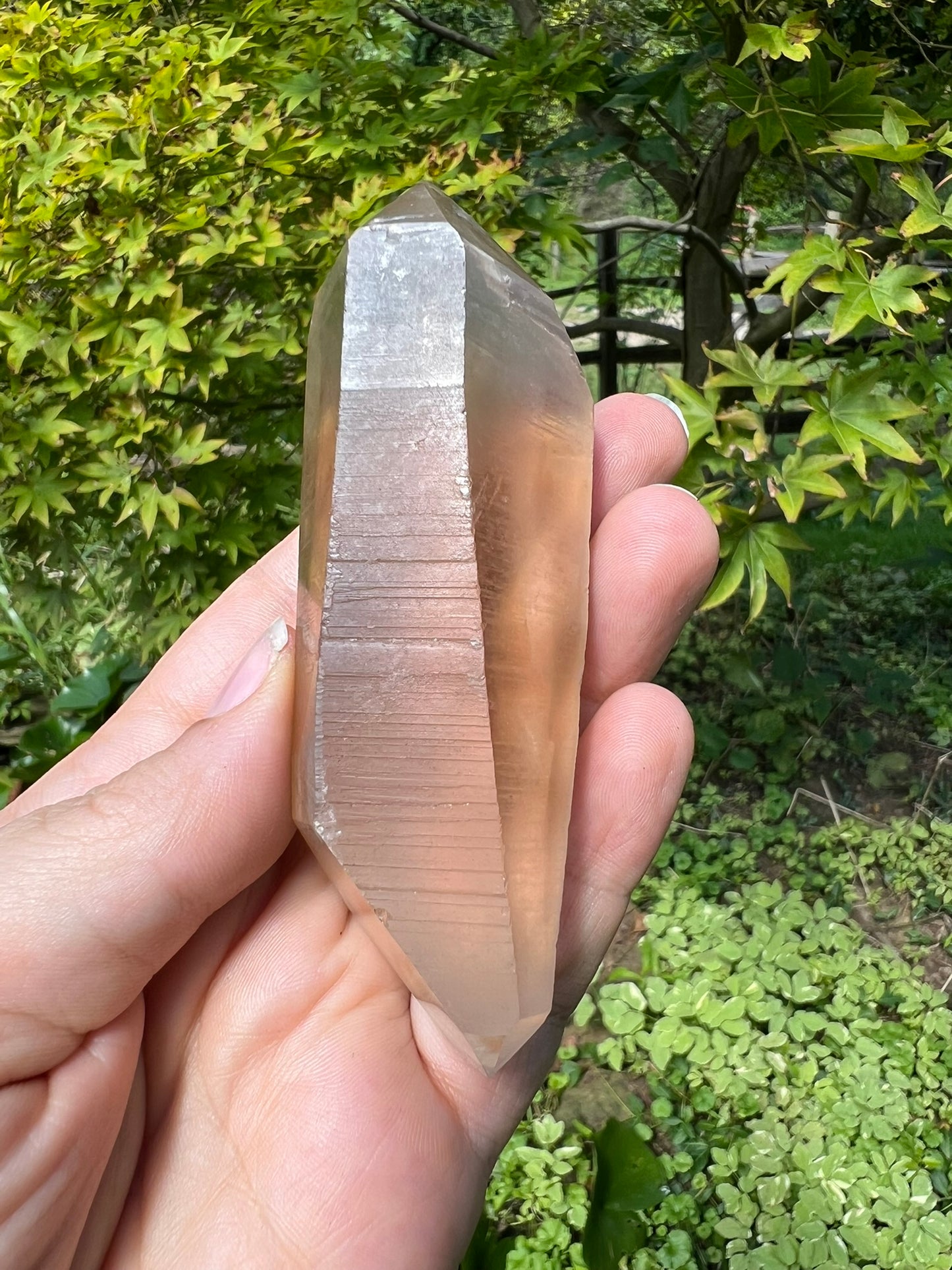 Lemurian Smoky Quartz Double Terminated Quartz Point ~ Brazil