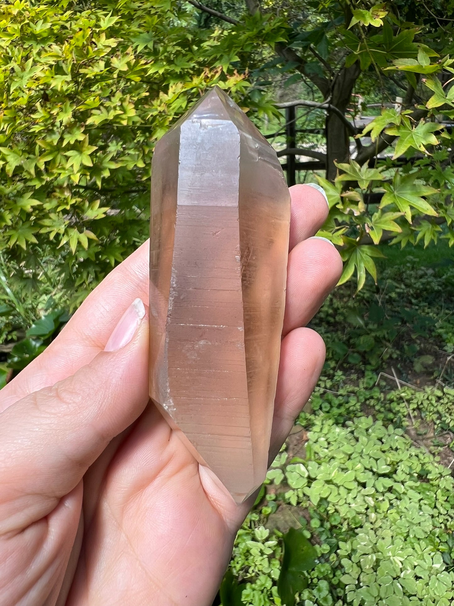 Lemurian Smoky Quartz Double Terminated Quartz Point ~ Brazil