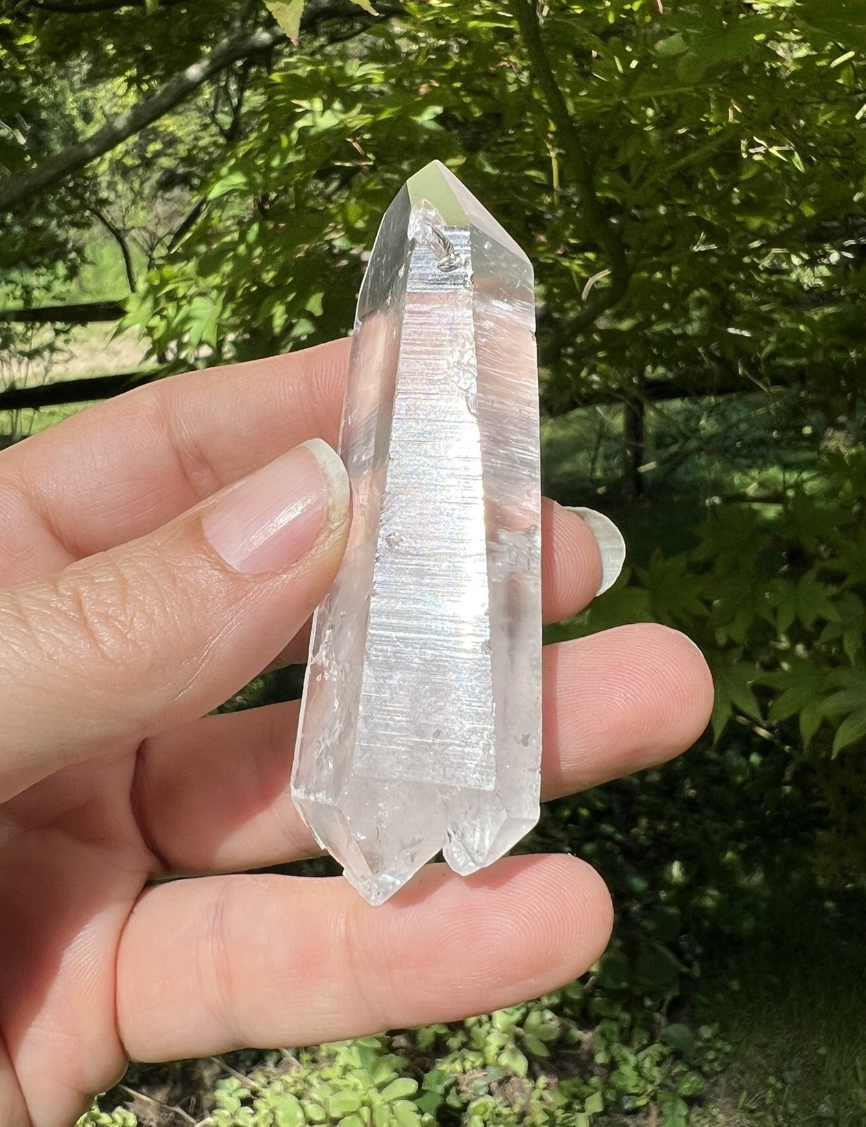 Lemurian Quartz Double Terminated Quartz Point ~ Brazil