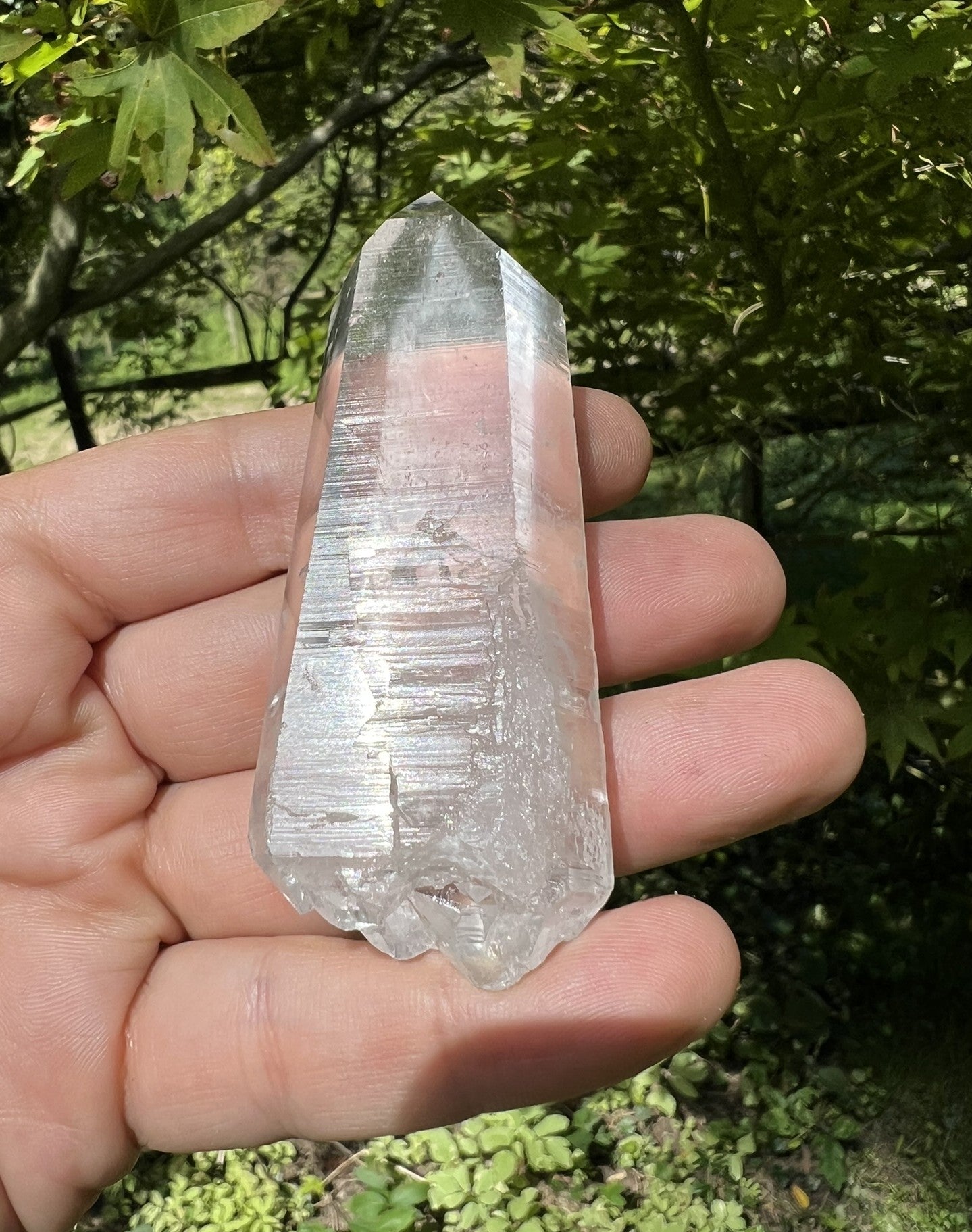 Lemurian Quartz Double Terminated Quartz Point ~ Brazil