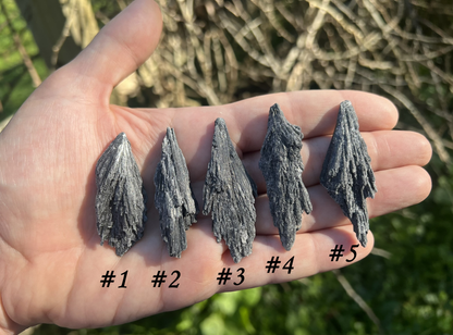 Black Kyanite Specimens - Gem Realm 