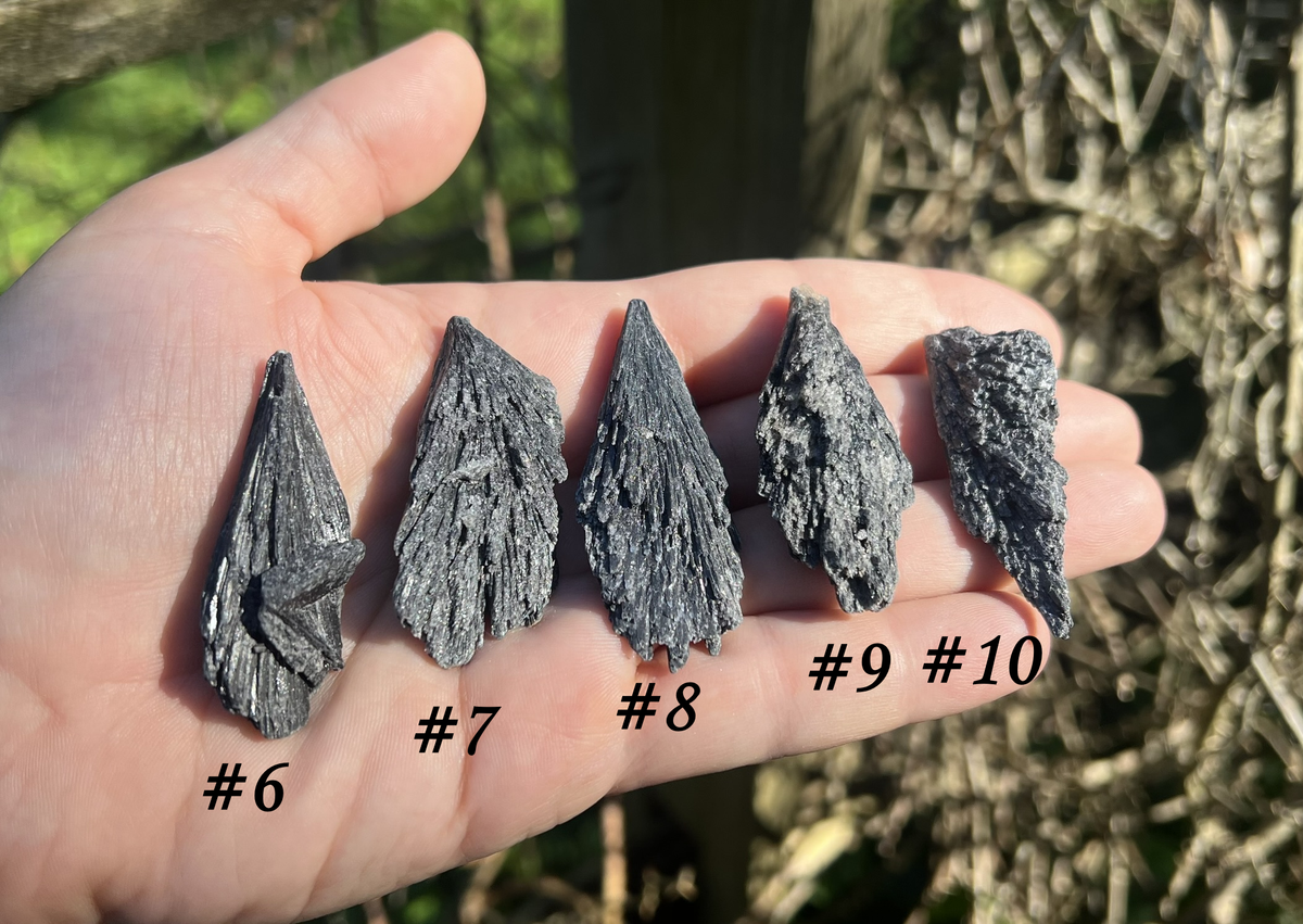 Black Kyanite Specimens - Gem Realm 