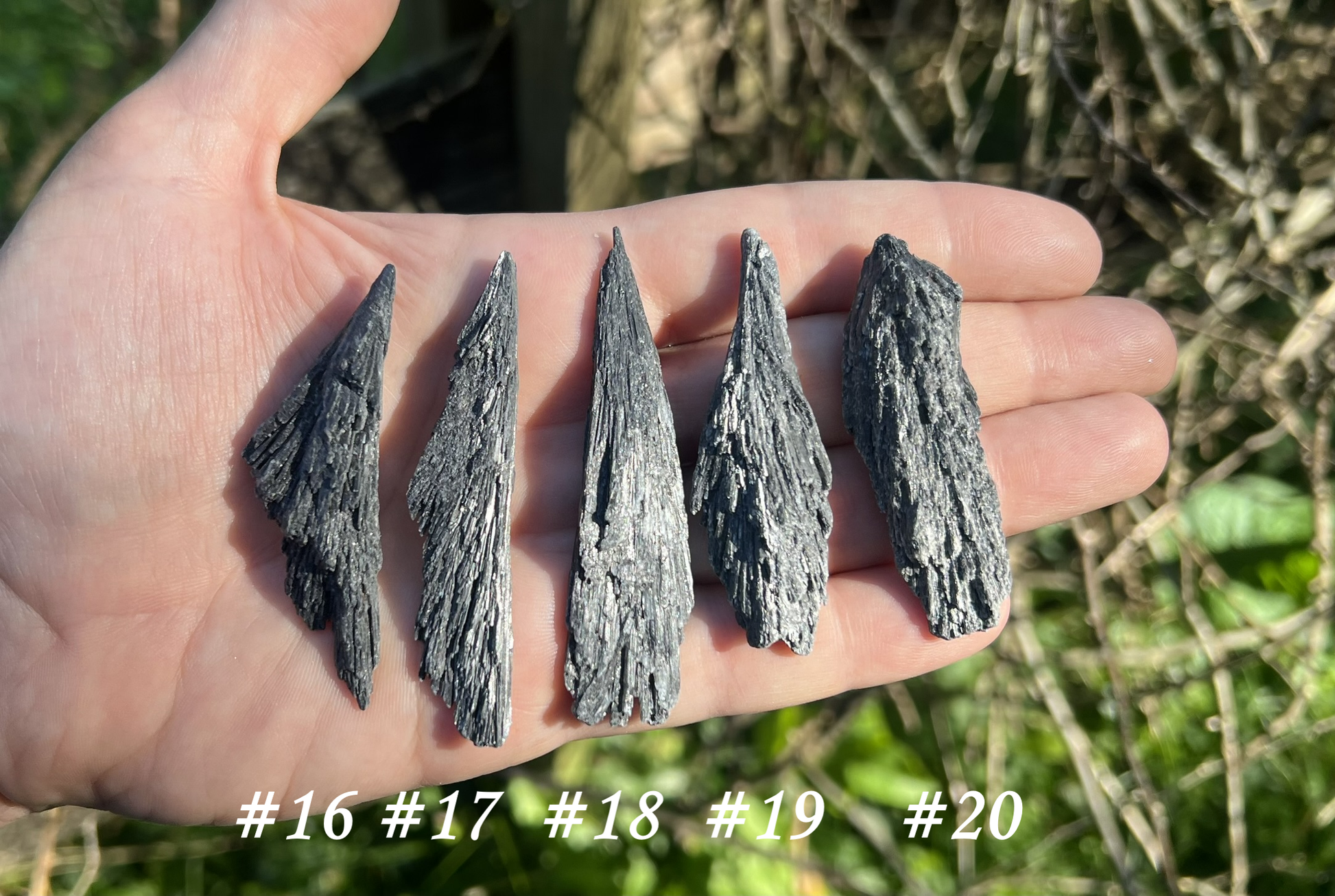 Black Kyanite Specimens - Gem Realm 