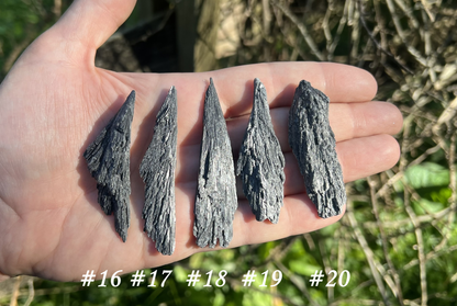 Black Kyanite Specimens - Gem Realm 