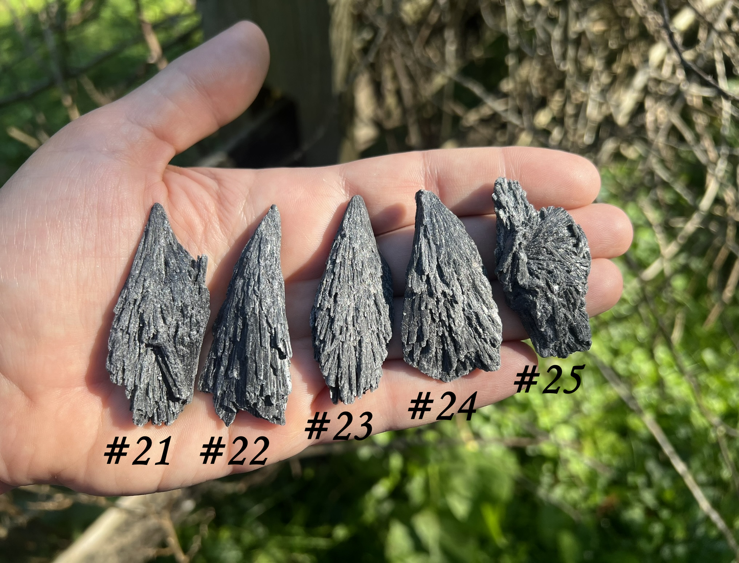 Black Kyanite Specimens - Gem Realm 