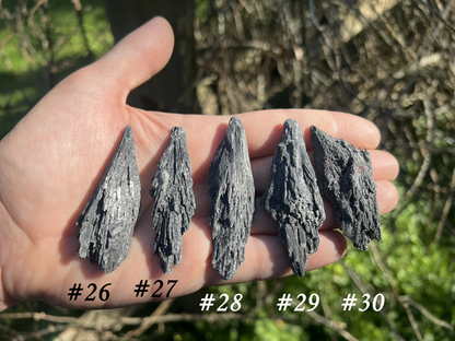 Black Kyanite Specimens - Gem Realm 