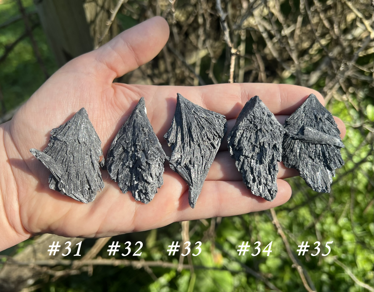 Black Kyanite Specimens - Gem Realm 