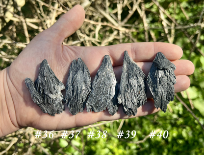 Black Kyanite Specimens - Gem Realm 
