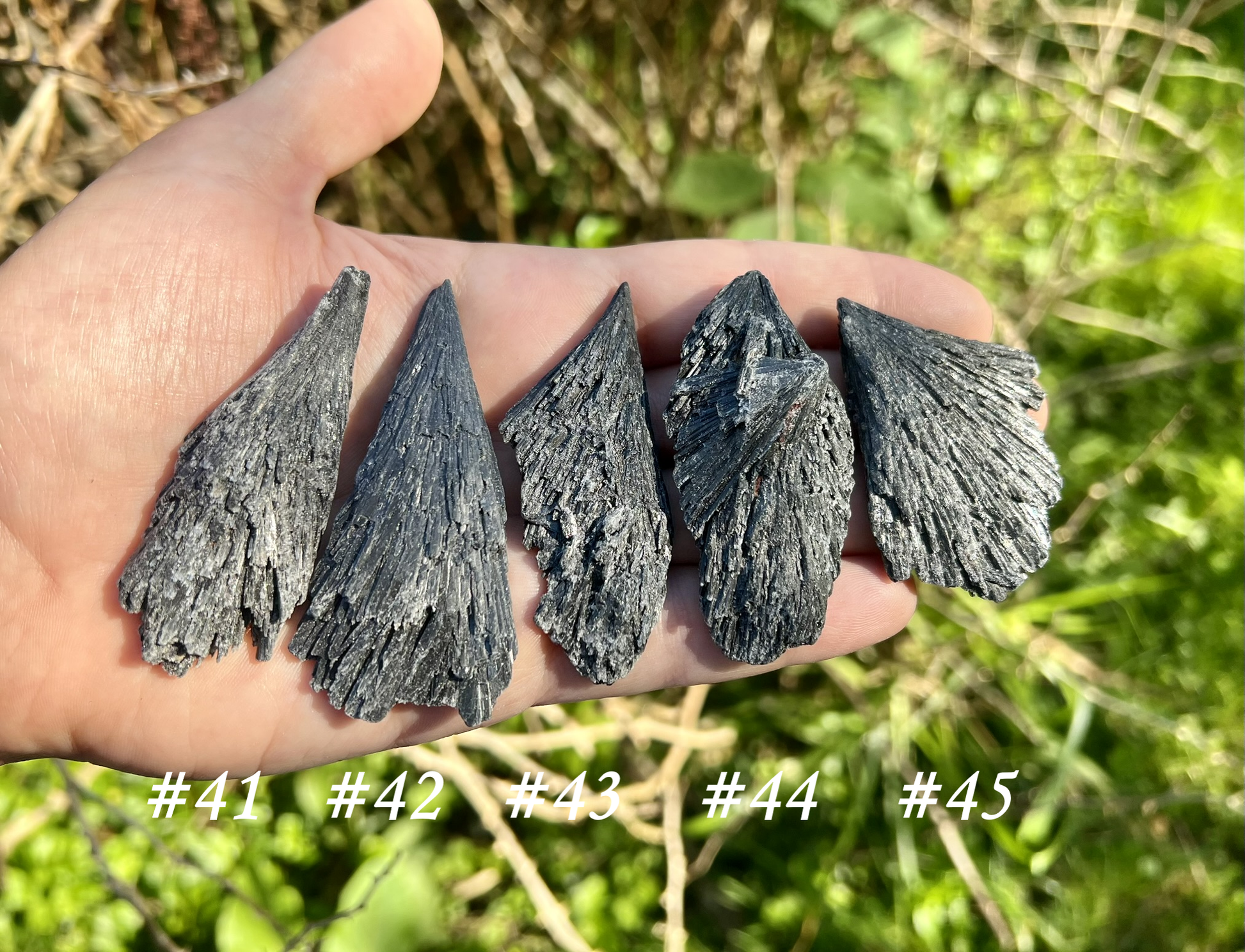 Black Kyanite Specimens - Gem Realm 