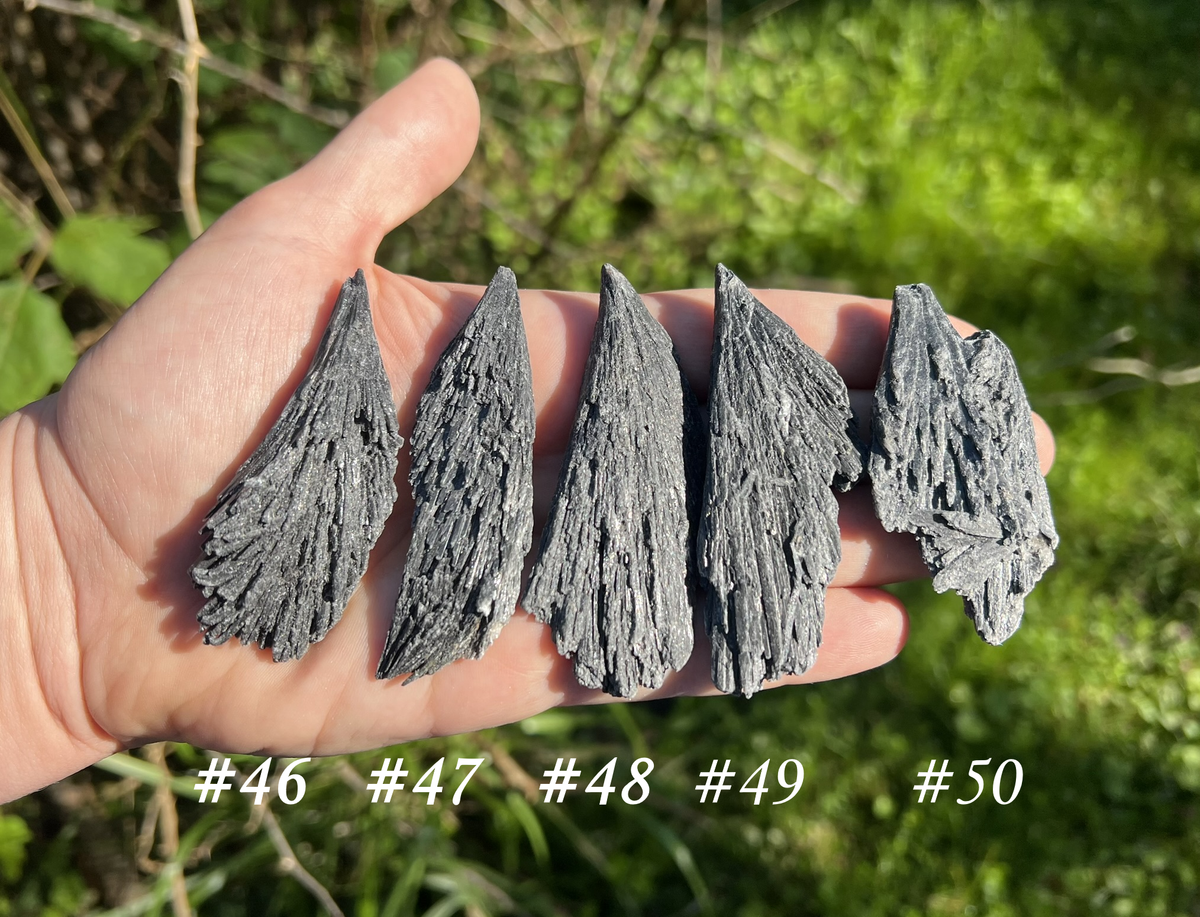 Black Kyanite Specimens - Gem Realm 