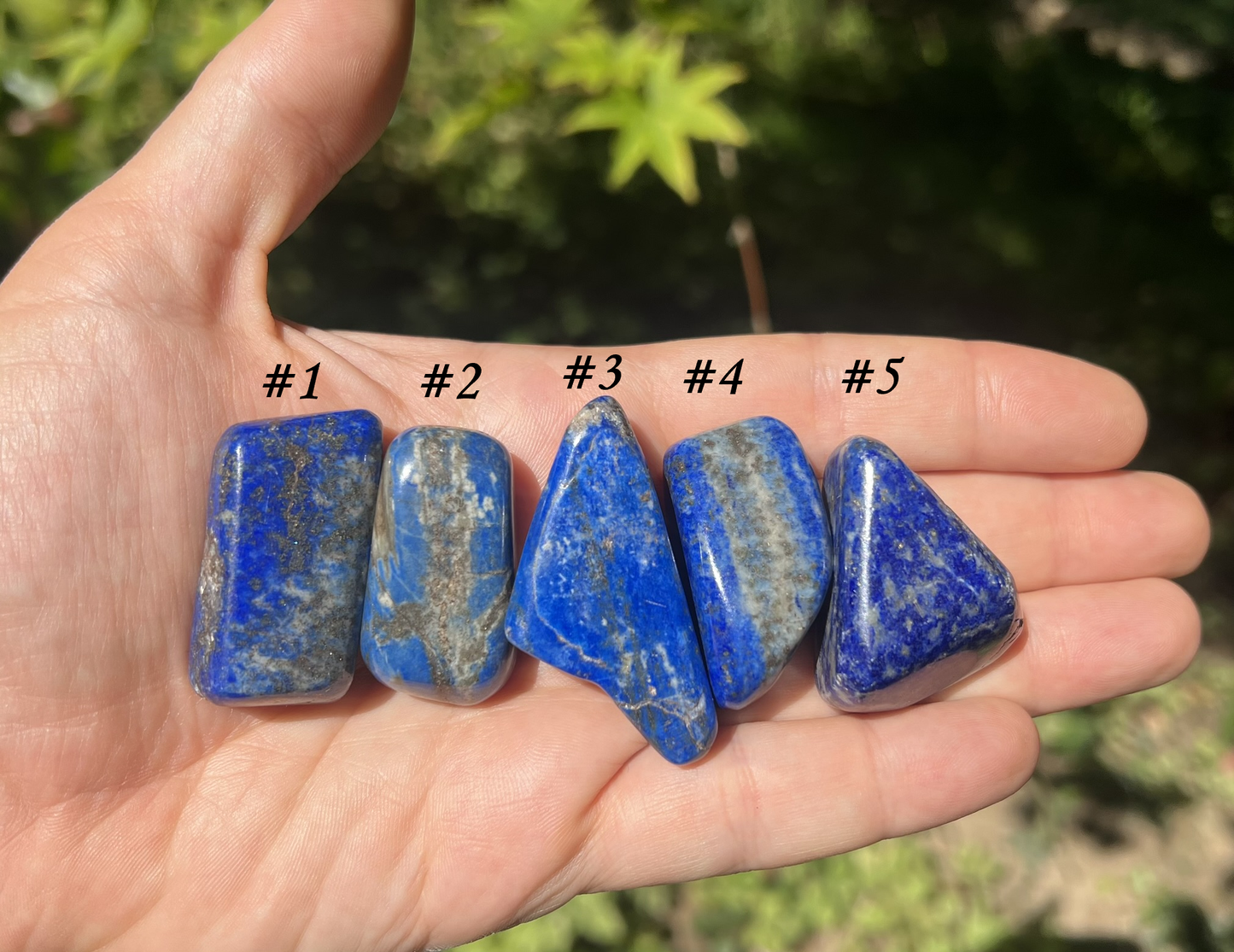 Lapis Lazuli Tumbled Stones ~ Large