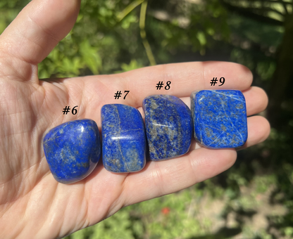 Lapis Lazuli Tumbled Stones ~ Large