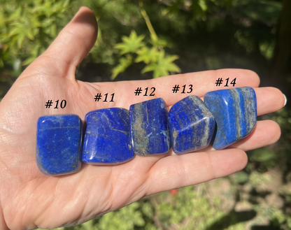 Lapis Lazuli Tumbled Stones ~ Large